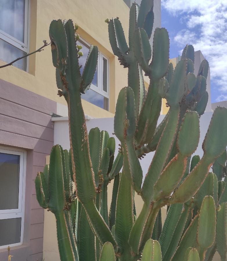 Apartamento Con Azotea Privada #Thefunnycactus Apartment Puerto del Rosario  Ngoại thất bức ảnh